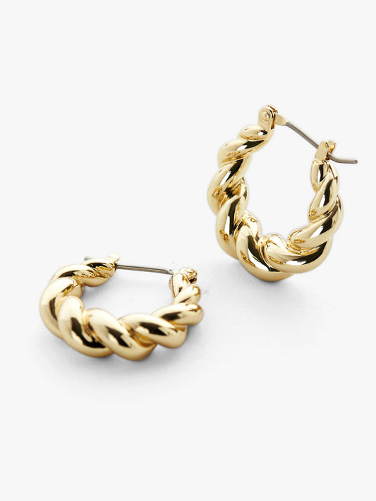 Ana Luisa Jewelry Hoop Earrings Twisted Hoop Earrings Paris Gold