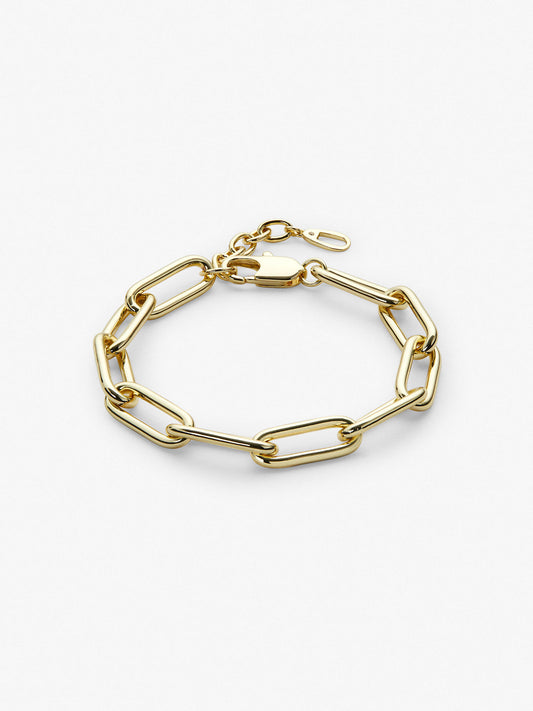 Ana Luisa Jewelry Bracelets Bold Chains Gold Paperclip Bracelet Jamie Brass