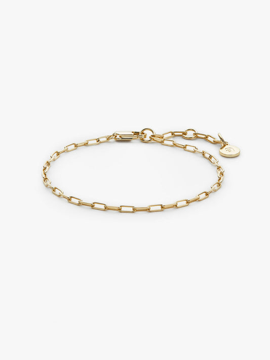 Ana Luisa Jewelry Bracelet Chain Bracelet Link Chain Bracelet Poetry Slim Gold