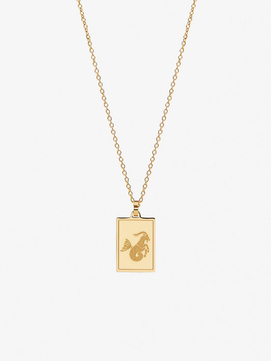 Ana Luisa Jewelry Necklaces Pendants Zodiac Necklace Capricorn Stainless Steel