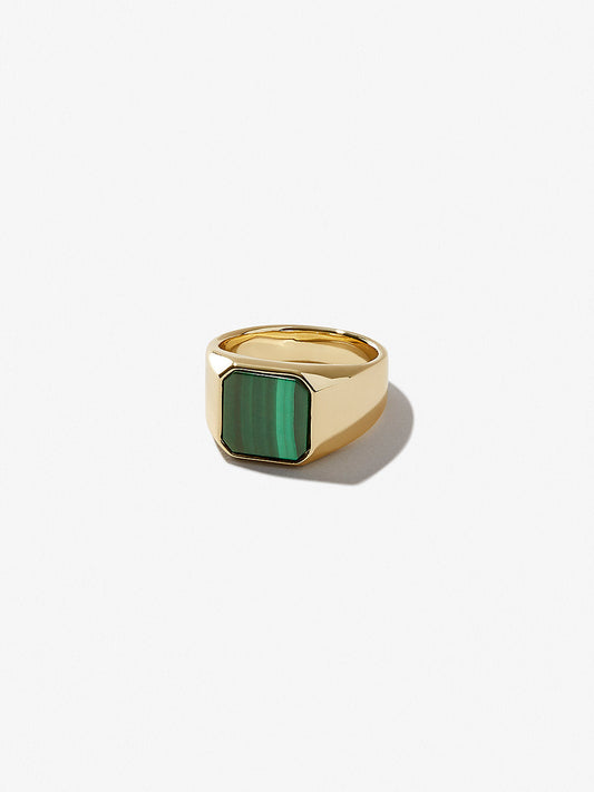 Ana Luisa Jewelry Ring Square Signet Ring Michelle Signet Gold